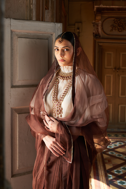 NAILA SAREE (DARK BROWN)
