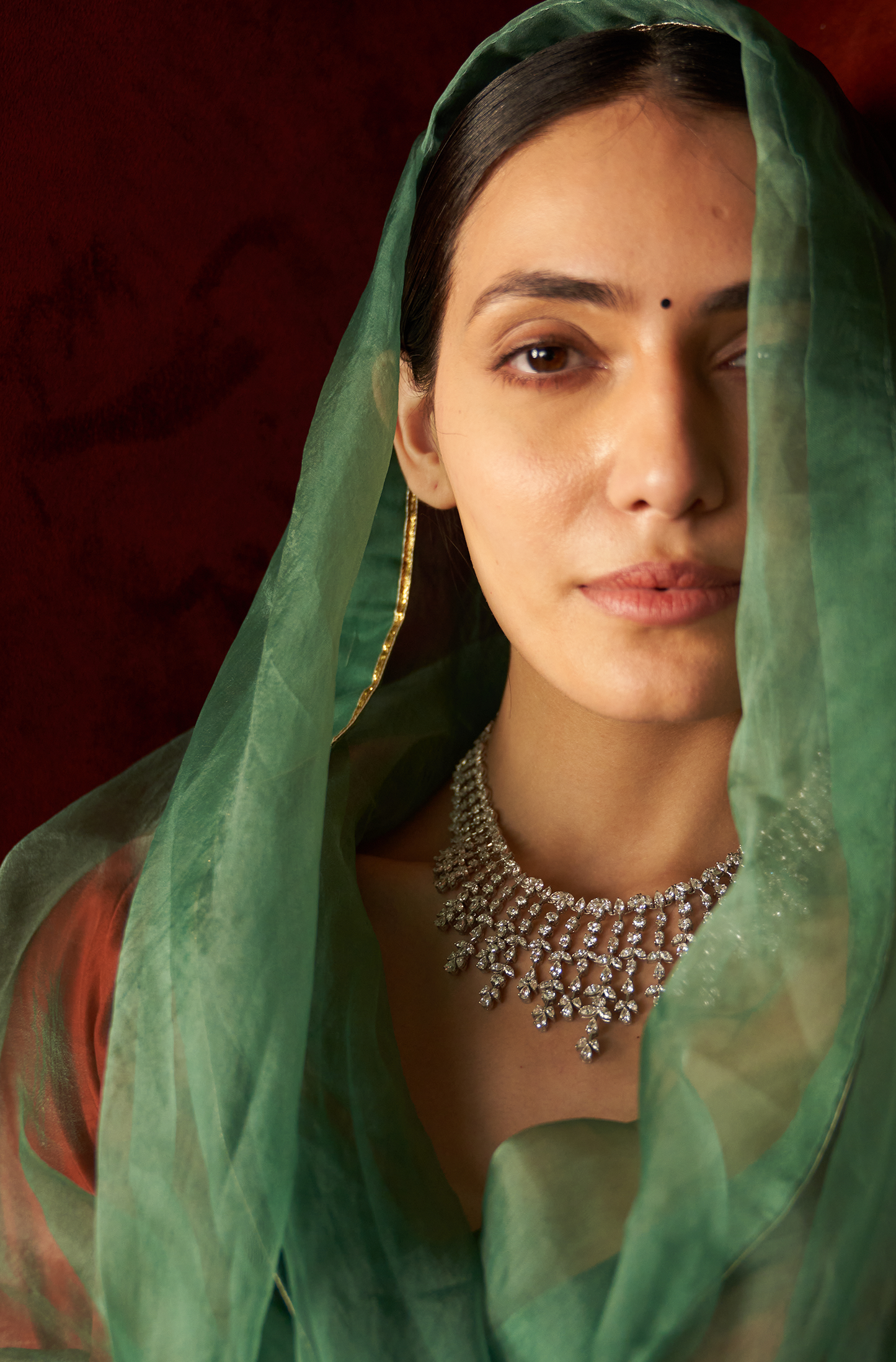 NAILA SAREE (FOREST GLOW)